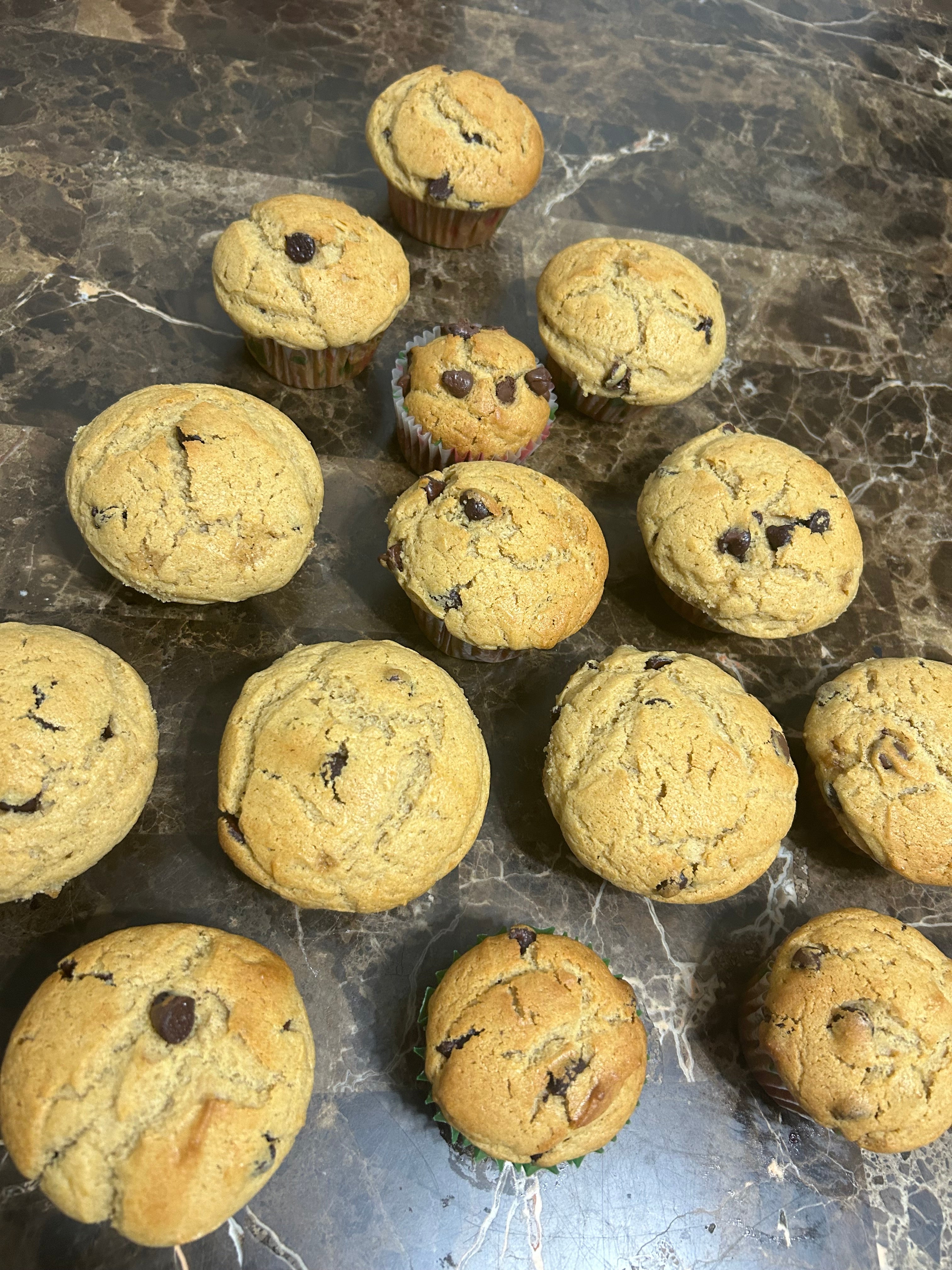 Chocolate Chip Muffins